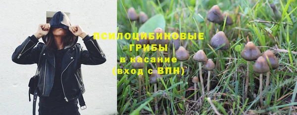 каннабис Аркадак